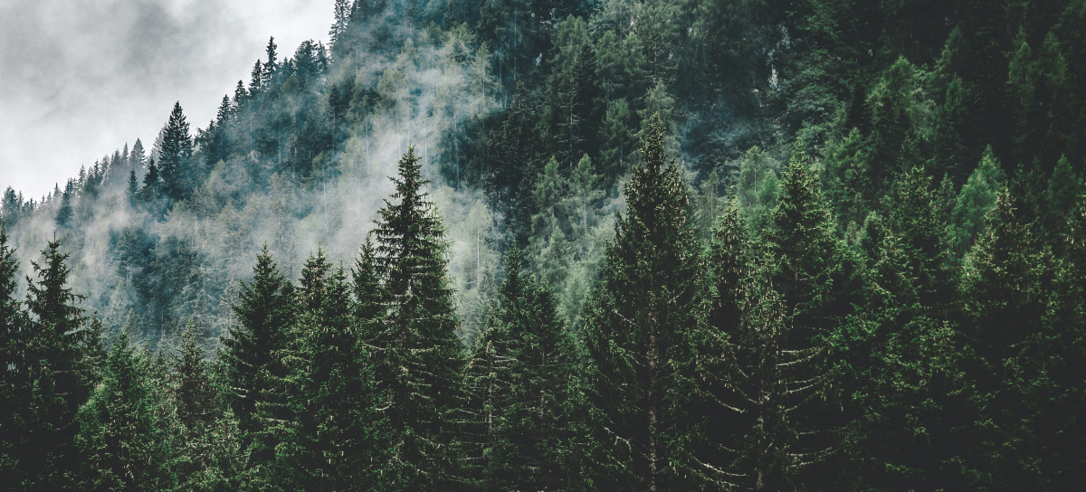 dynamicMediaItem.Name